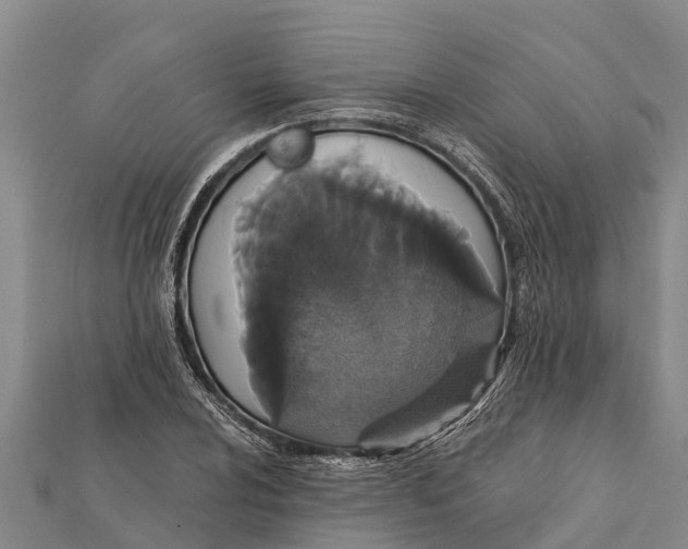 X0000112001024200908241428