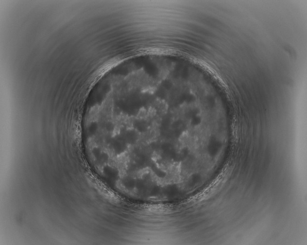 X0000112001025200908241428