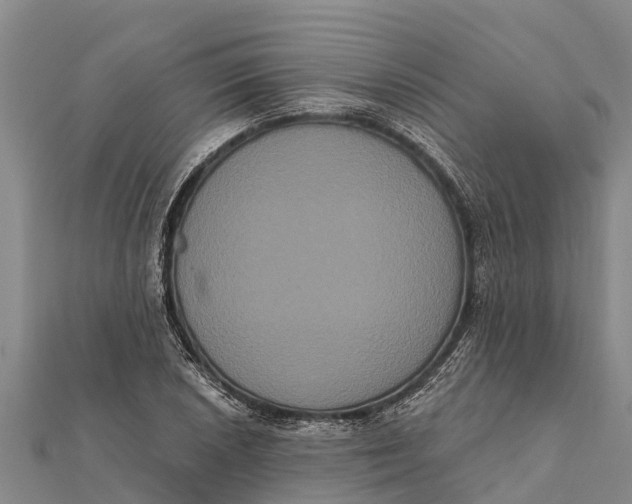 X0000112001026200908241428