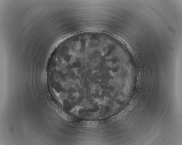 X0000112001027200908241428