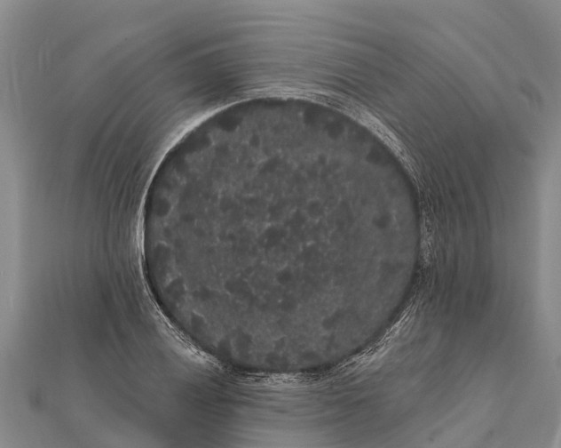 X0000112001028200908241428