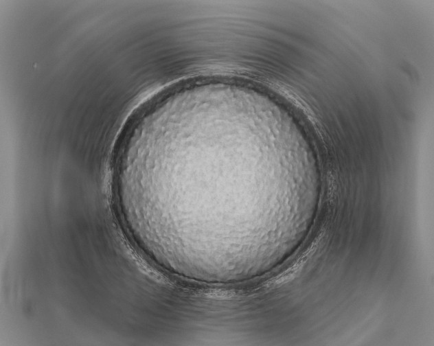 X0000112001029200908241428