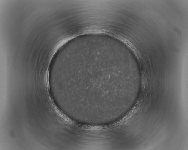 X0000112001030200908241428