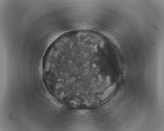 X0000112001031200908241428