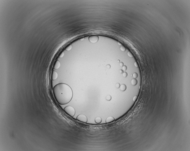 X0000112001032200908241428