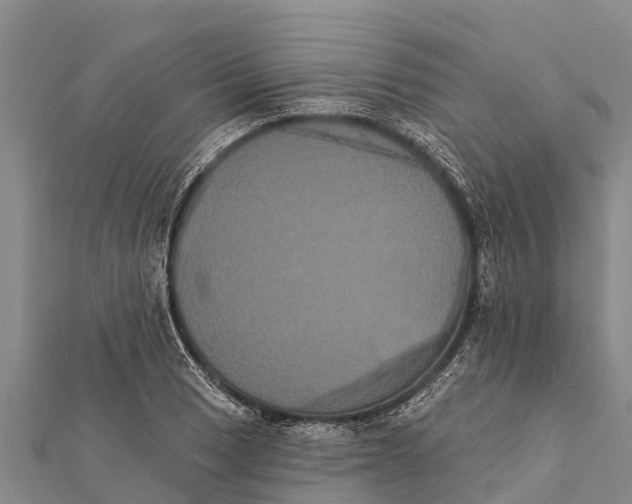 X0000112001033200908241428