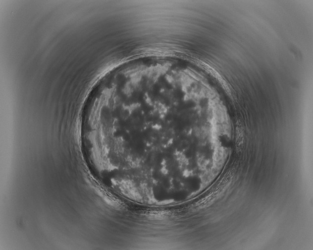 X0000112001035200908241428