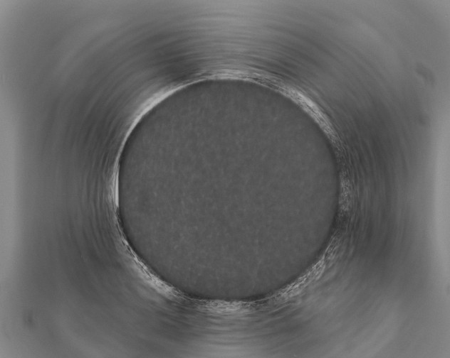 X0000112001036200908241428