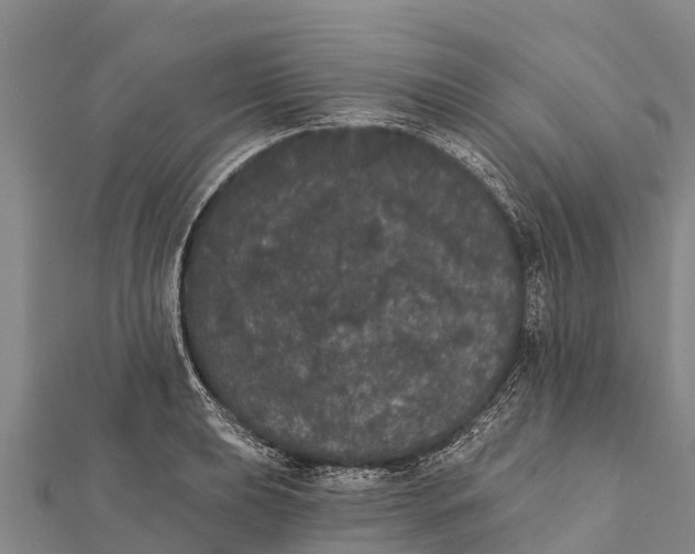 X0000112001039200908241429