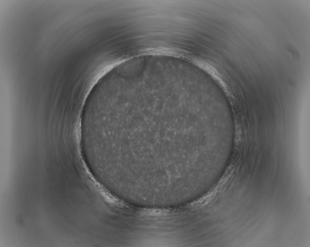 X0000112001040200908241429