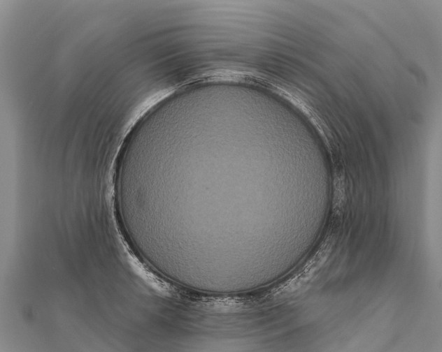 X0000112001042200908241429