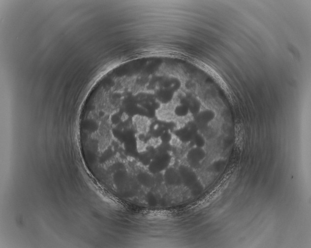 X0000112001043200908241429