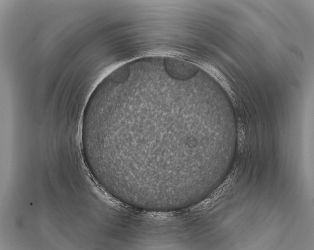 X0000112001044200908241429