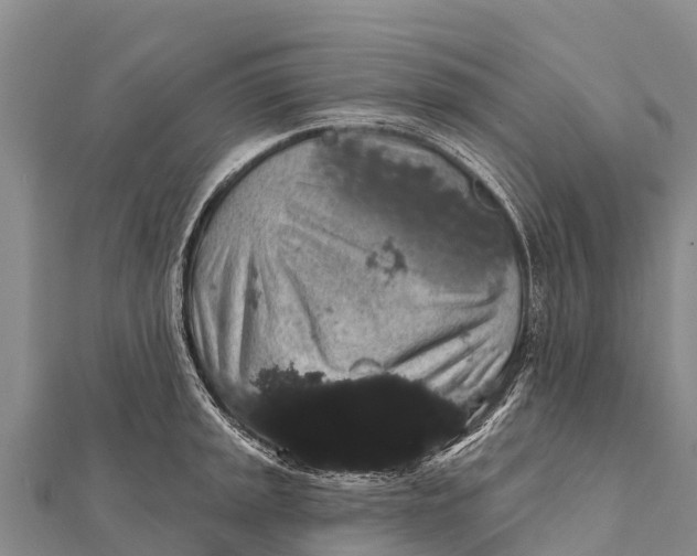 X0000112001045200908241429