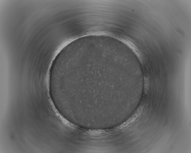 X0000112001046200908241429