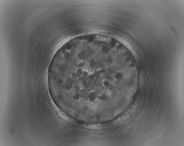 X0000112001047200908241429