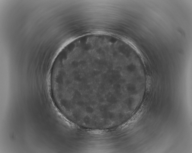 X0000112001048200908241429