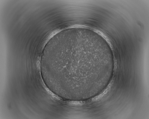 X0000112001049200908241429