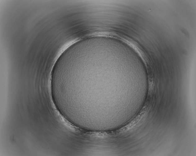 X0000112001050200908241429