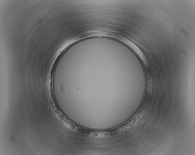 X0000112001051200908241429