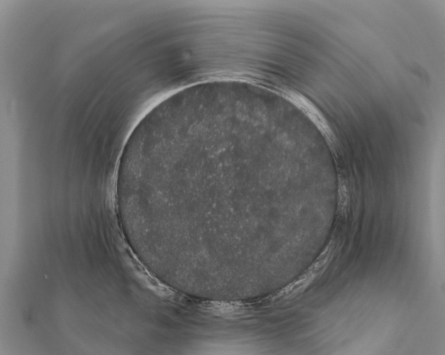 X0000112001052200908241429