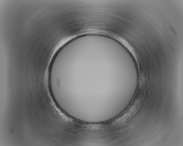 X0000112001053200908241429