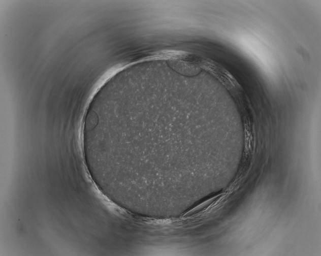 X0000112001054200908241429