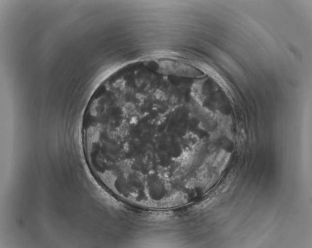 X0000112001055200908241429