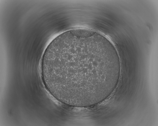 X0000112001056200908241429