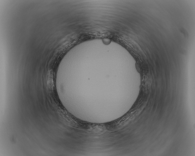 X0000112001058200908241428