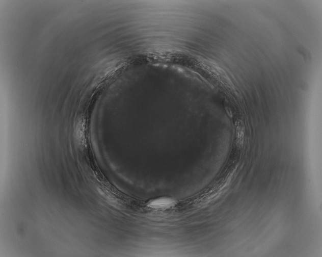 X0000112001060200908241428