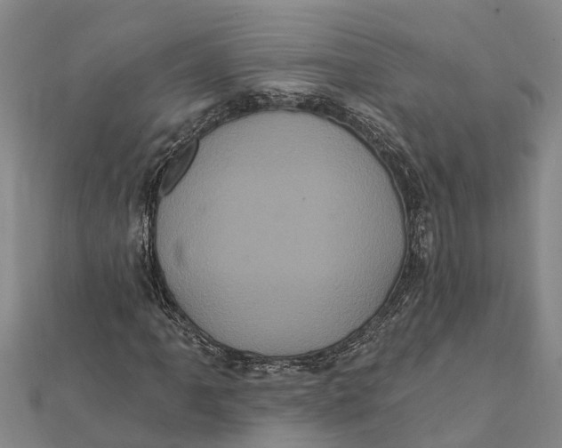 X0000112001061200908241428