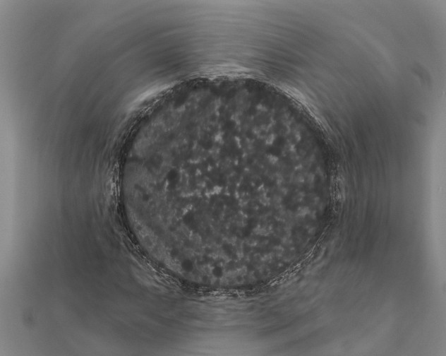 X0000112001063200908241428