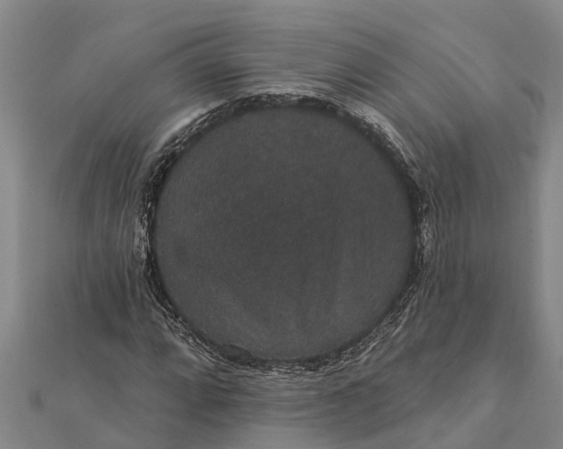 X0000112001064200908241428