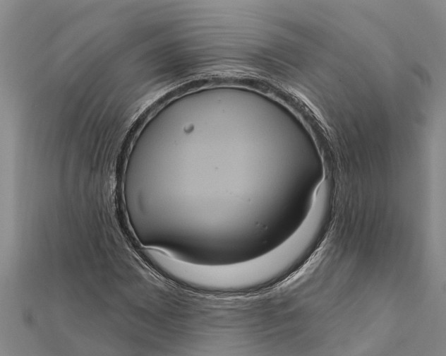 X0000112001065200908241428