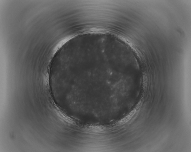 X0000112001066200908241428