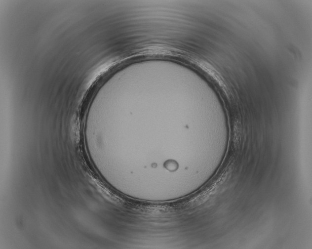 X0000112001067200908241428