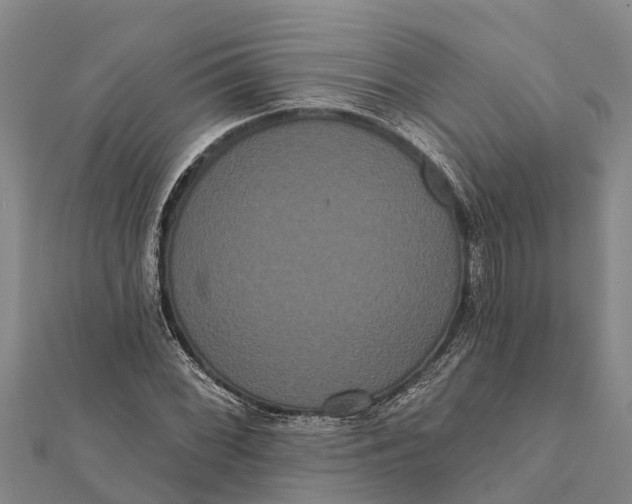 X0000112001068200908241428