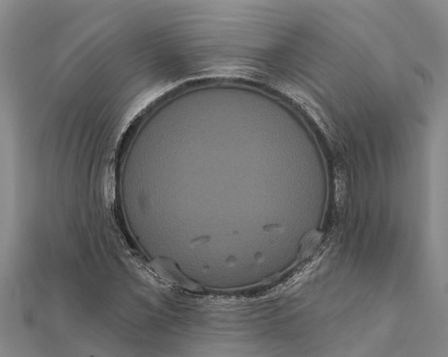 X0000112001069200908241428