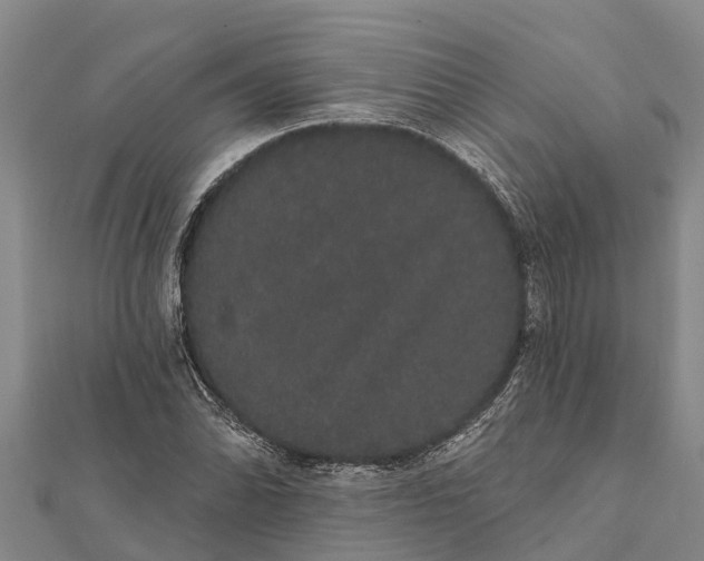 X0000112001070200908241428