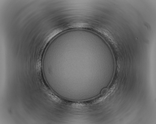 X0000112001073200908241428