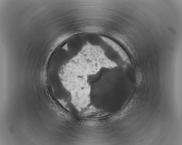 X0000112001074200908241428