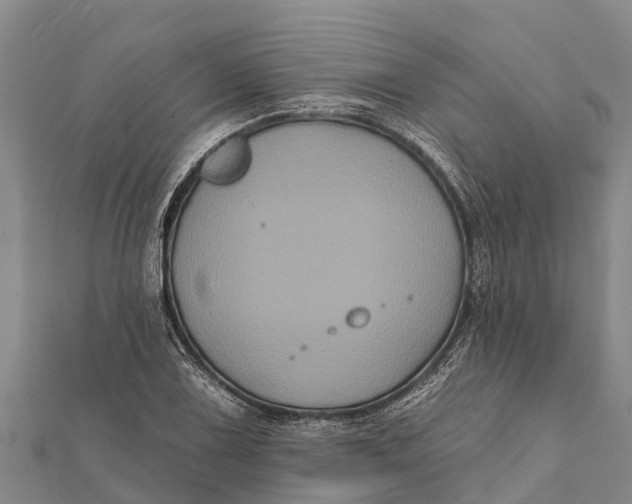 X0000112001075200908241428