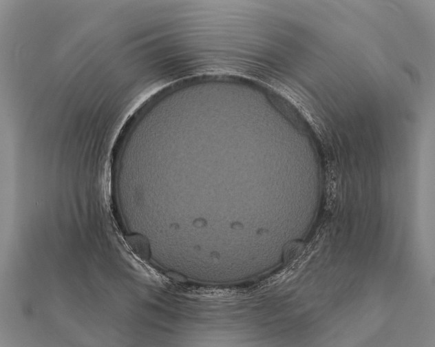 X0000112001076200908241428