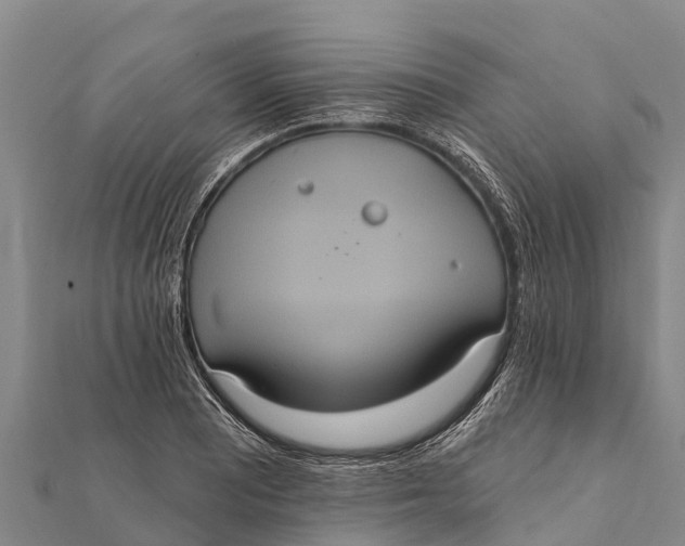 X0000112001081200908241428