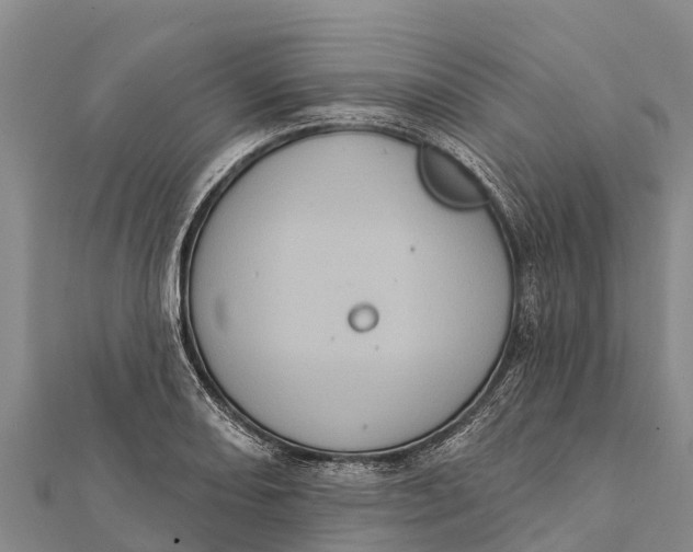 X0000112001082200908241428