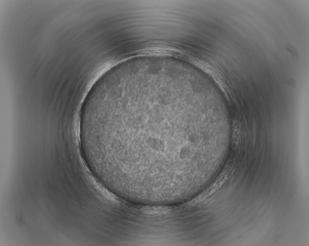 X0000112001083200908241428