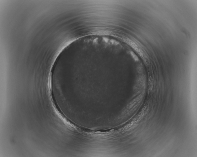 X0000112001084200908241428