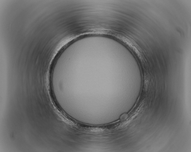 X0000112001085200908241428