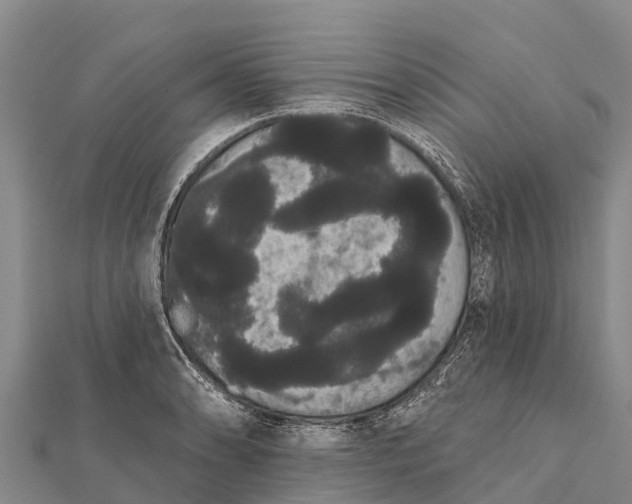 X0000112001086200908241428